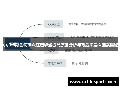 小卢卡斯为何屡次在巴黎坐板凳原因分析与背后深层次因素揭秘