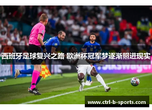 西班牙足球复兴之路 欧洲杯冠军梦逐渐照进现实