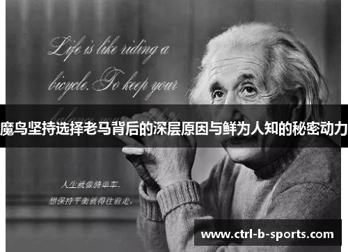 魔鸟坚持选择老马背后的深层原因与鲜为人知的秘密动力